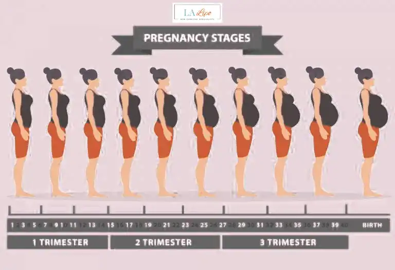 First Trimester (Weeks 1–12): Early Changes You Might Not Notice Peterborough
